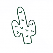 cactus-tricotin